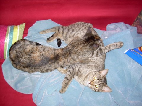 DSCN0636