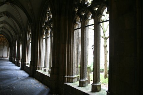 IMG_8284