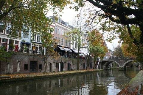 IMG_8289