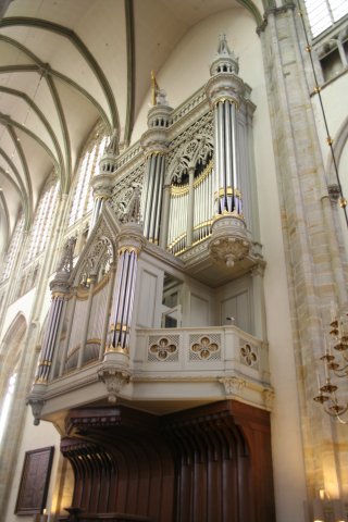 IMG_8315
