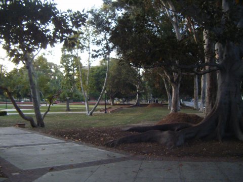 DSCF1765
