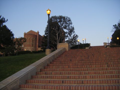DSCF1781
